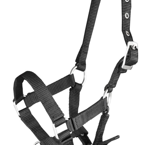 Halster Basic Veulen - 2. Zwart