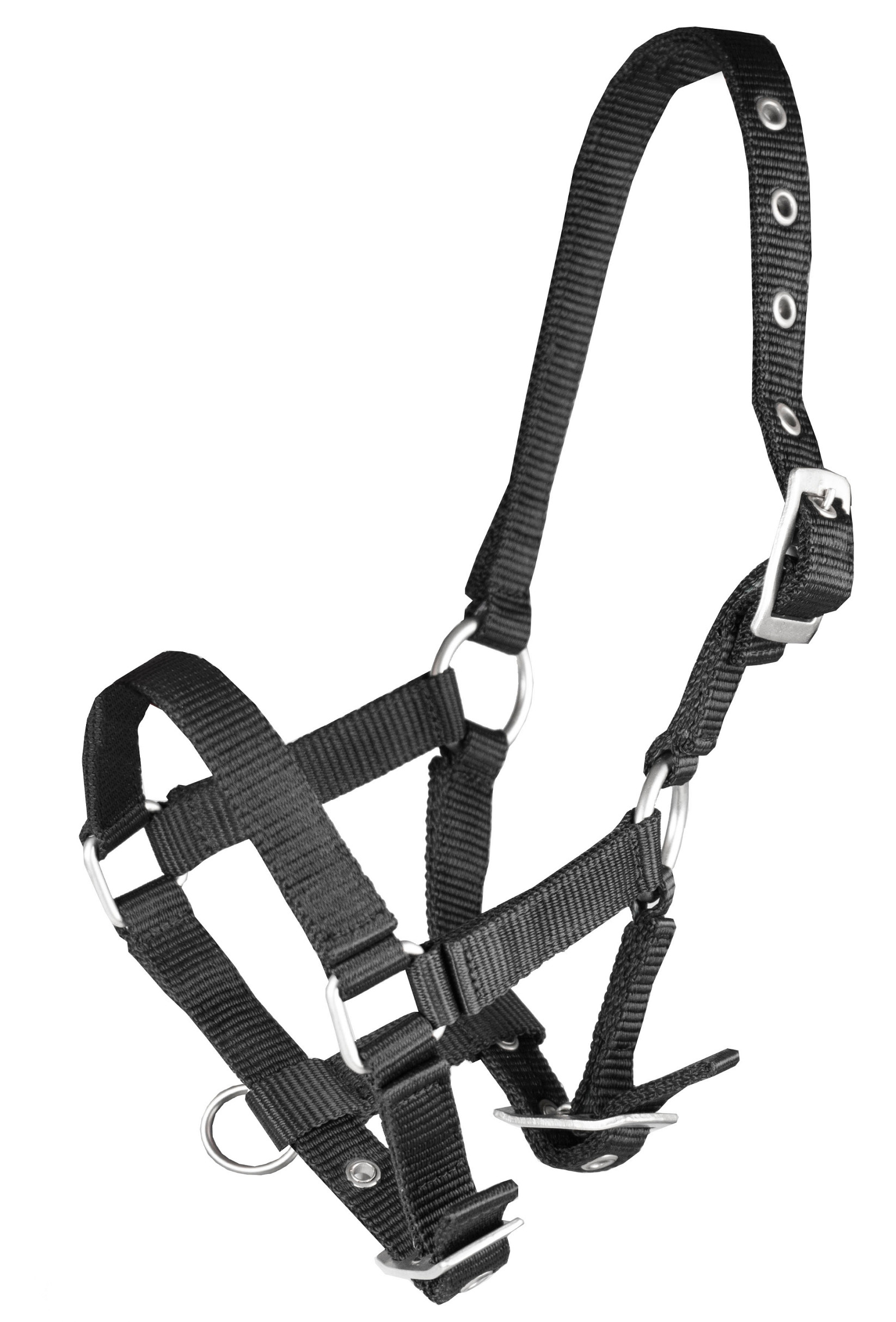 Halster Basic Veulen - 2. Zwart
