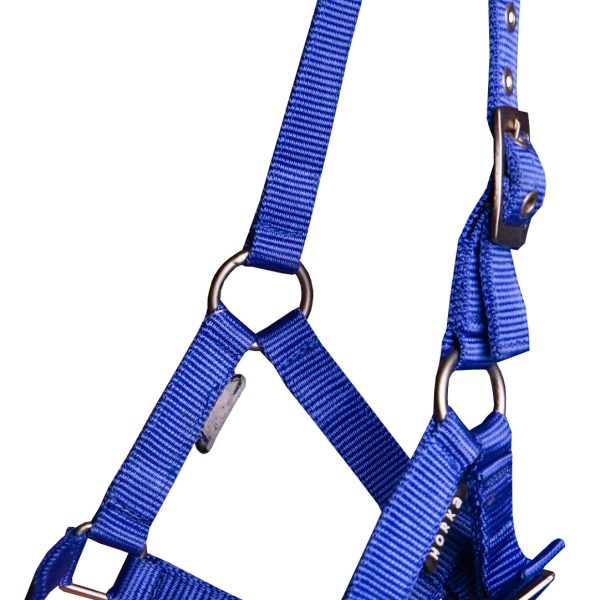 Halster Basic Veulen - 19. Kobalt