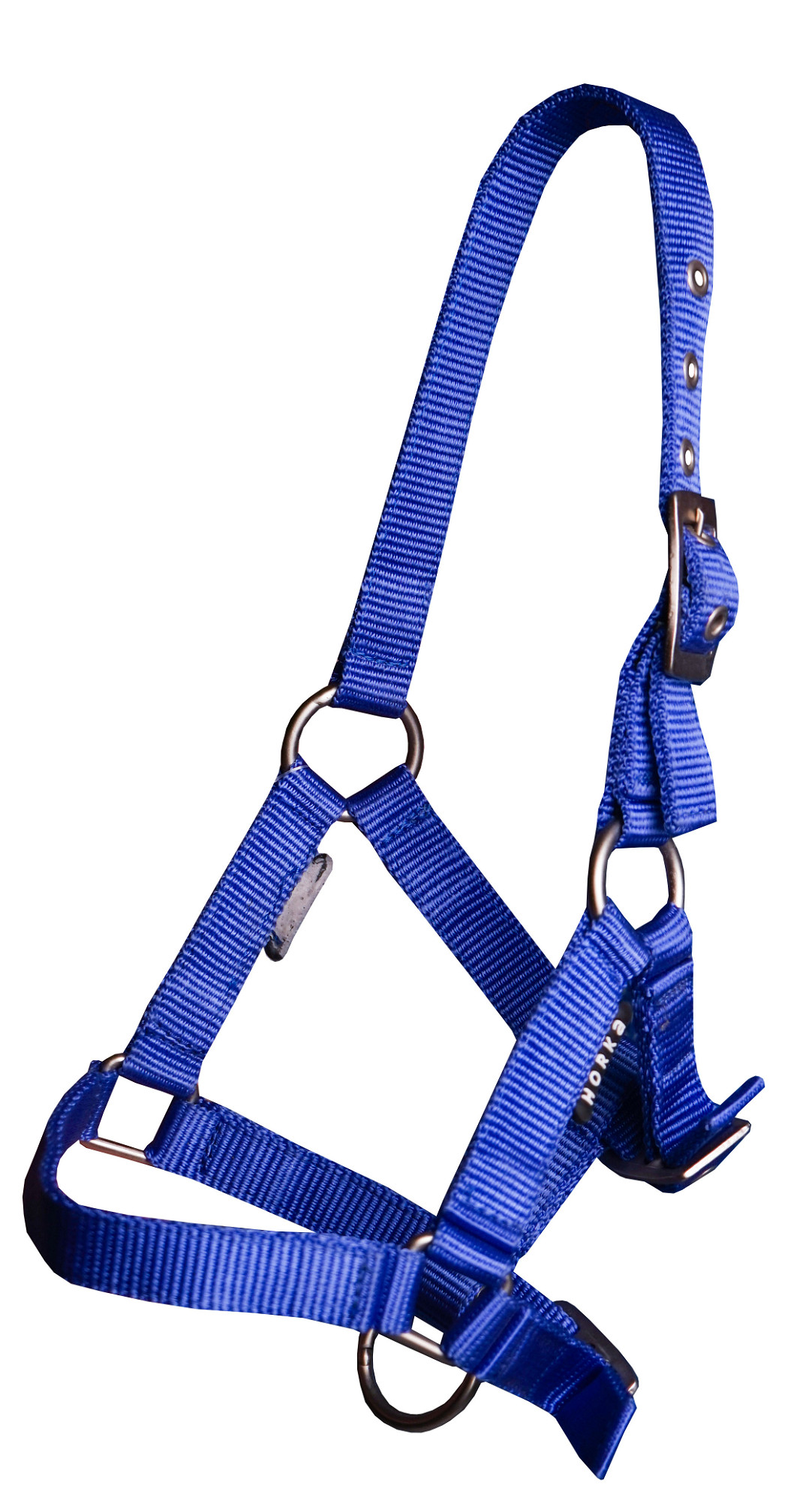 Halster Basic Veulen - 19. Kobalt