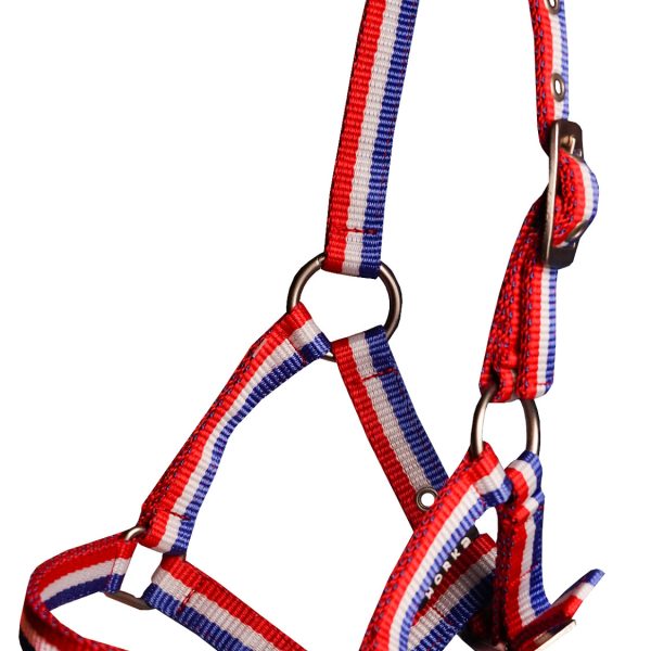 Halster Basic Veulen - 602. Rood/wit/blauw