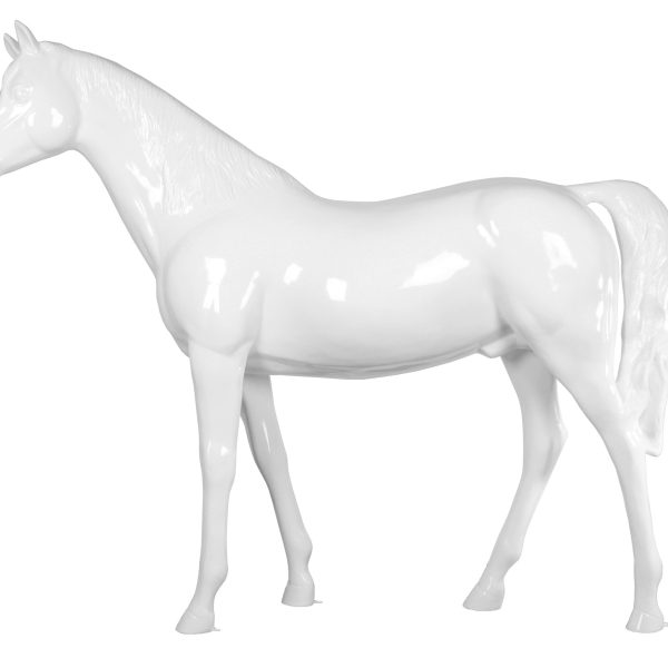 Display Pony Big Size 146 Cm - 1. Wit