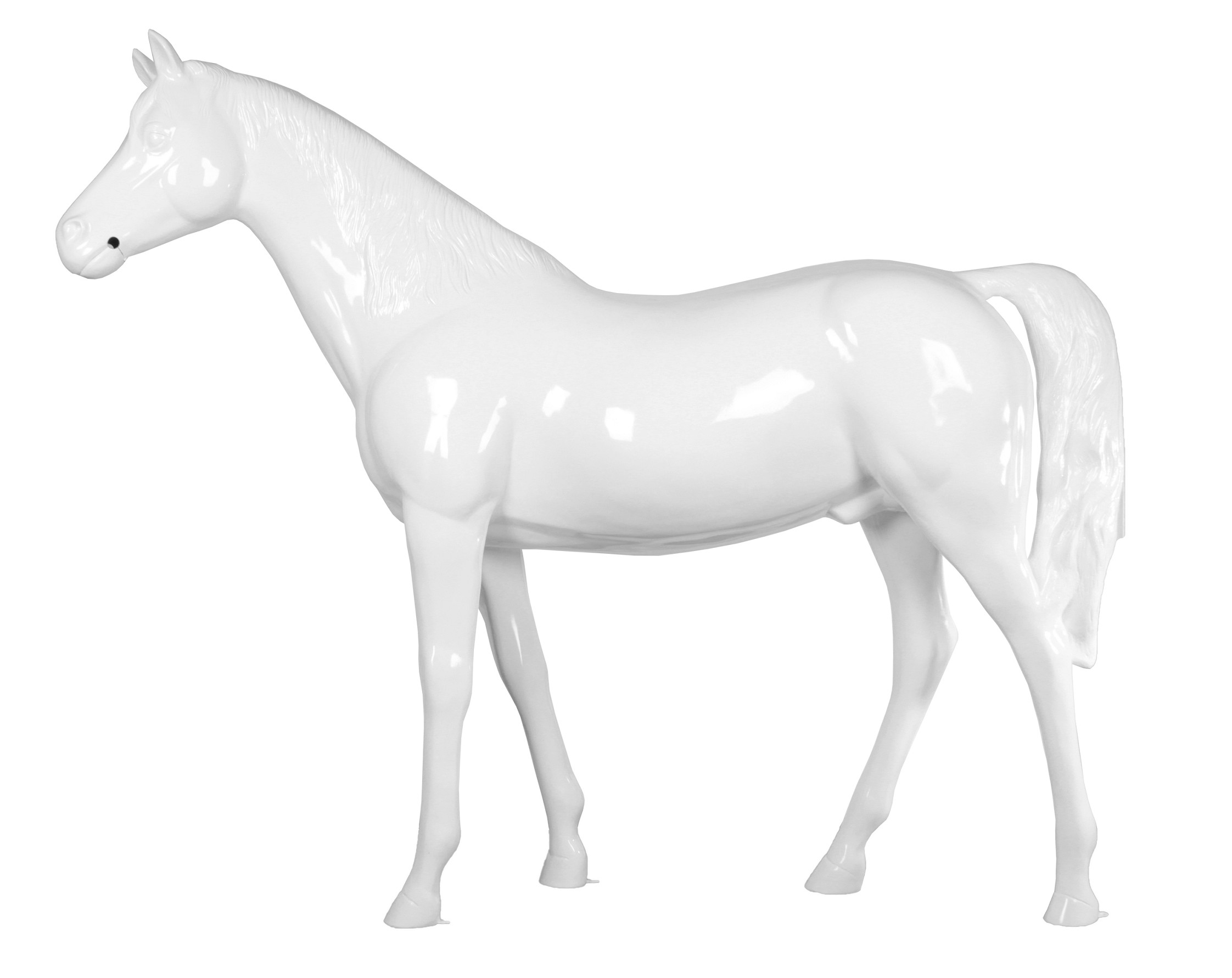 Display Pony Big Size 146 Cm - 1. Wit