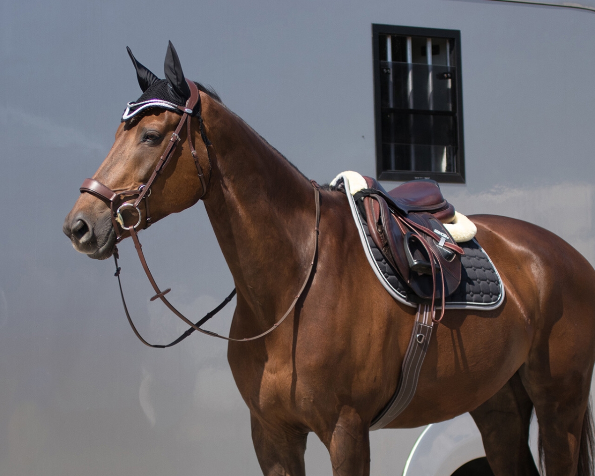 Анатомичен кожен опас с ластици QHP