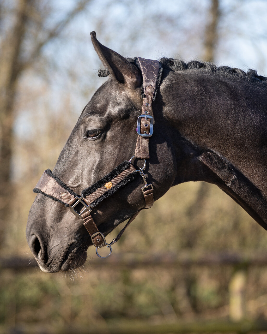 Оглавник Classy за коне