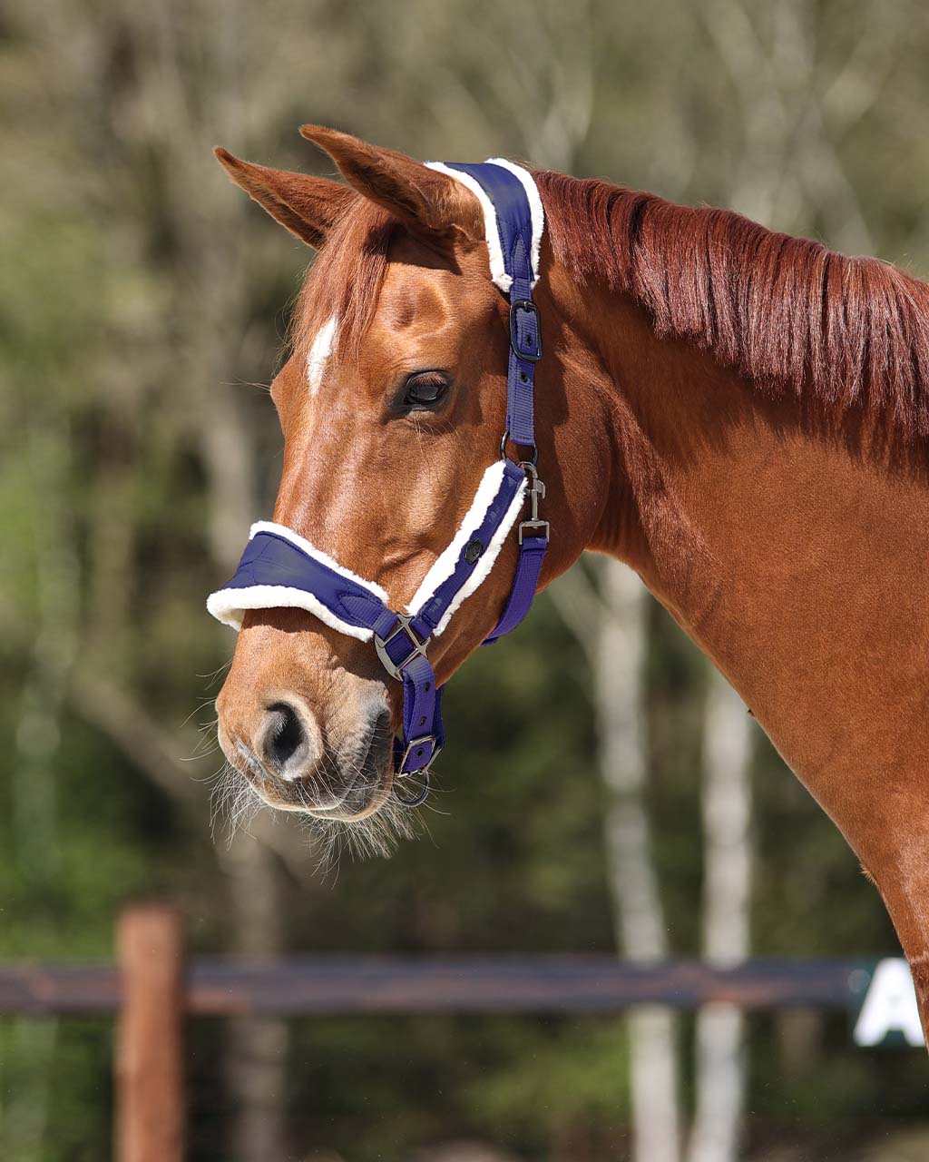 Оглавник Classy за коне - Image 5
