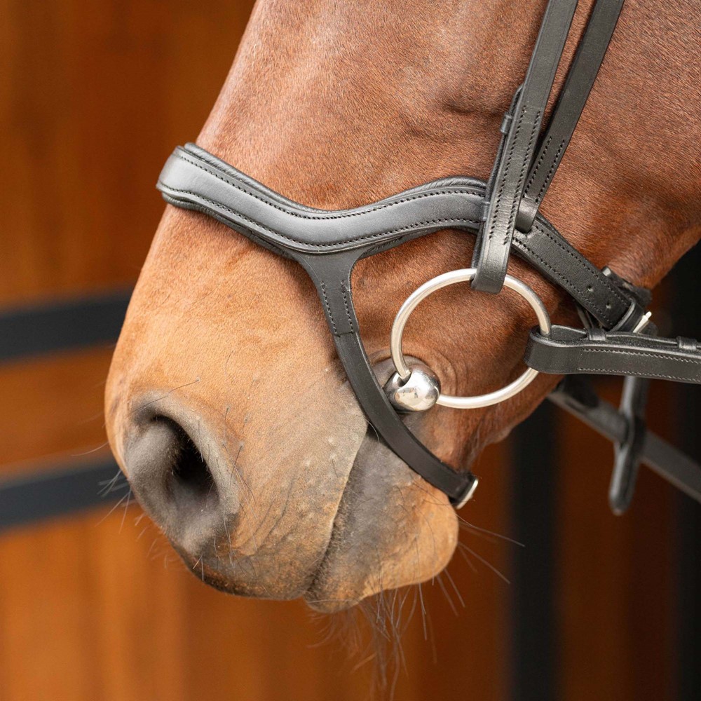 Юздечка Harry's Horse - Черна - Image 2