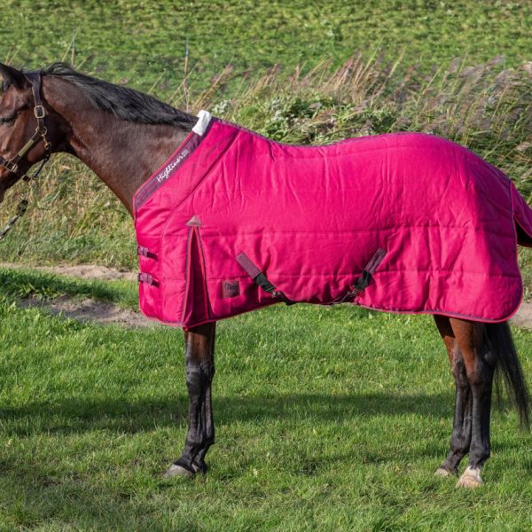 Попона с част за врата за бокс - Harrys's Horse - 200 гр.