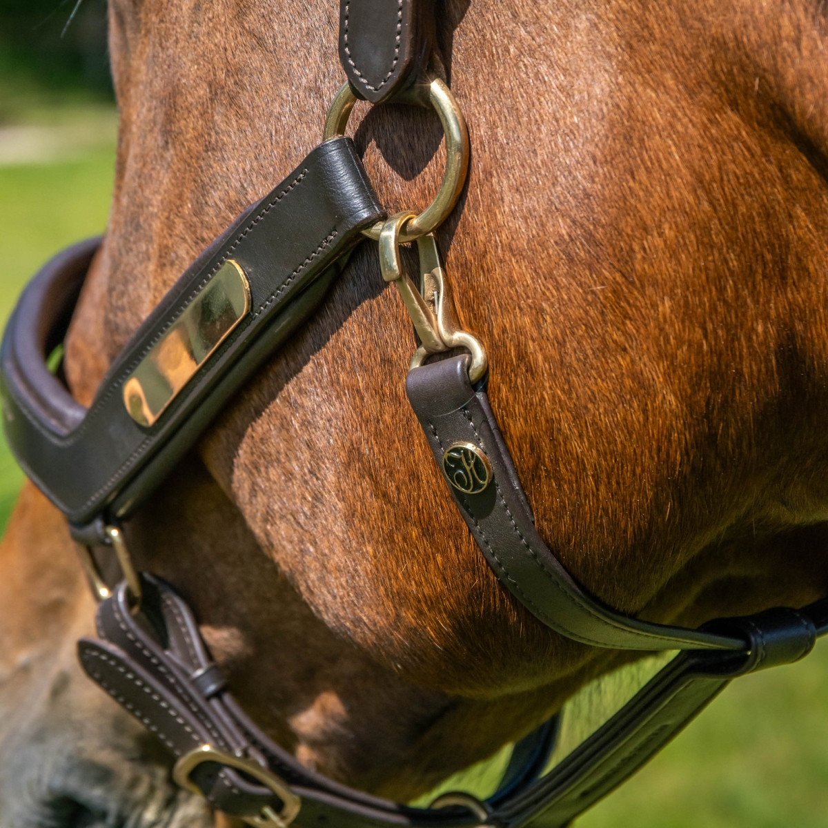 Кожен анатомичен оглавник - юлар Harry's Horse - Image 3