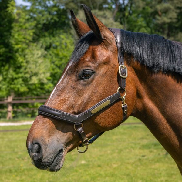 Кожен анатомичен оглавник - юлар Harry's Horse