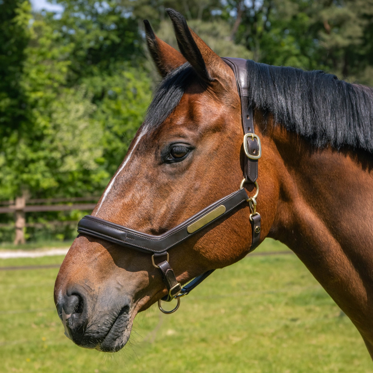 Кожен анатомичен оглавник - юлар Harry's Horse