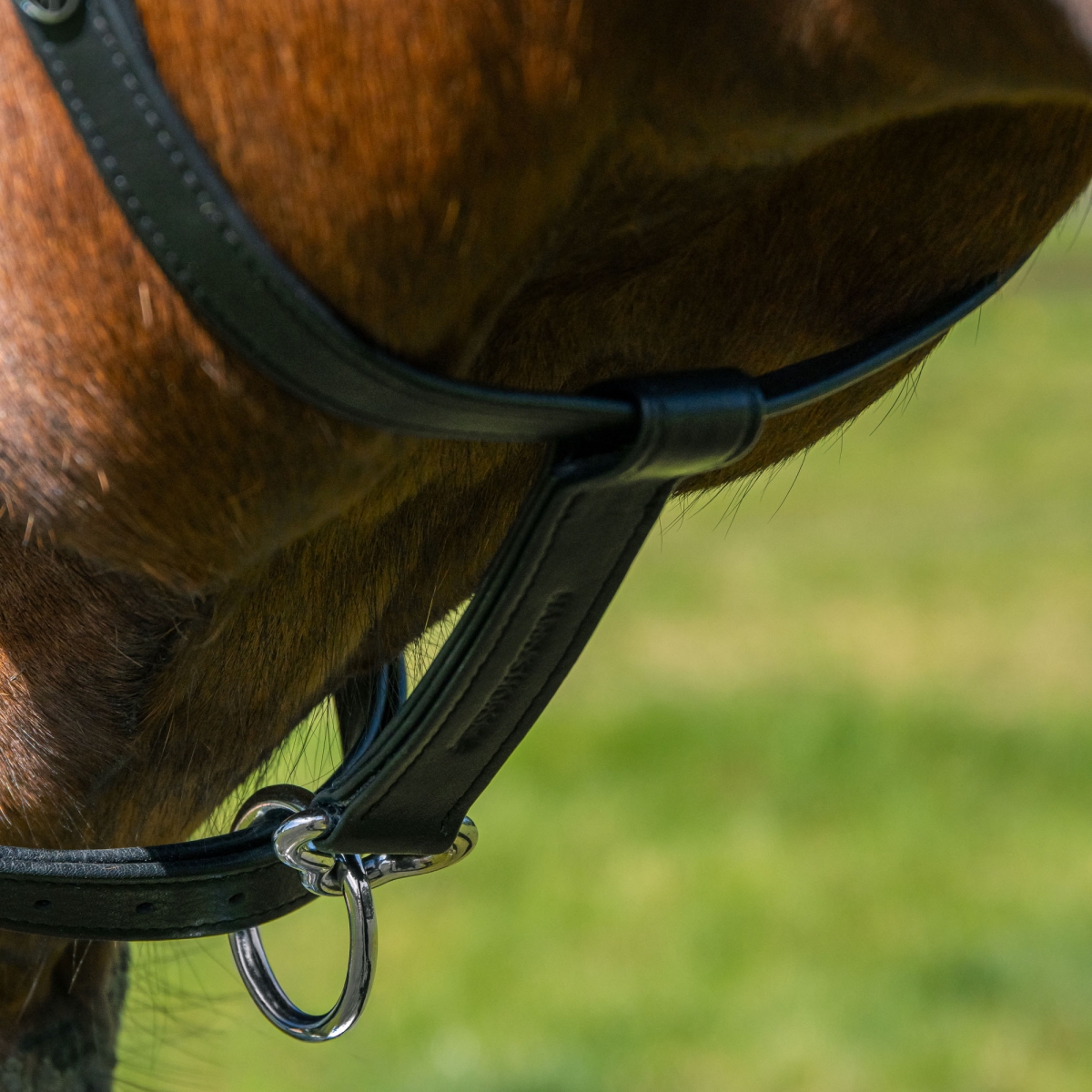 Кожен анатомичен оглавник - юлар Harry's Horse - Image 6