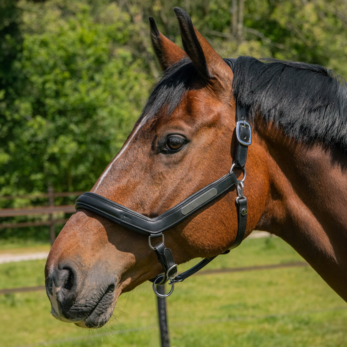 Кожен анатомичен оглавник - юлар Harry's Horse - Image 5