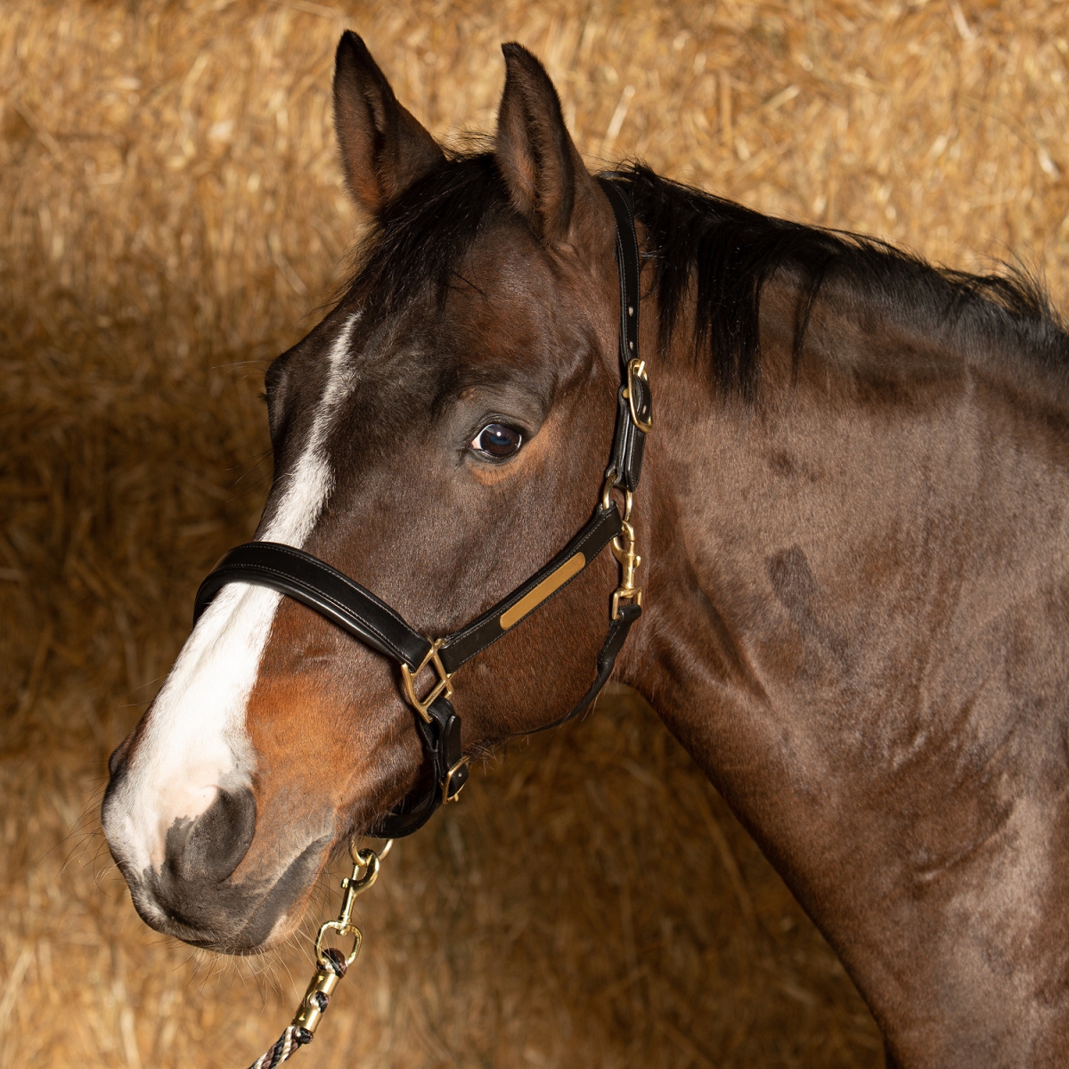 Анатомичен кожен оглавник (юлар) за коне Harry's Horse