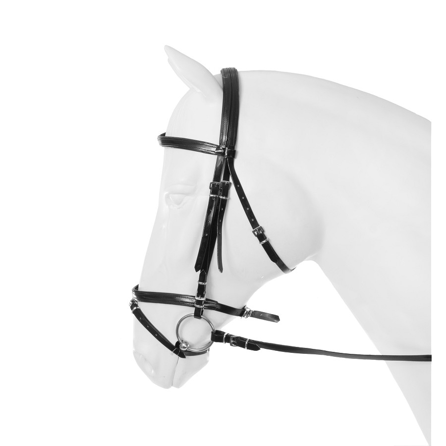 Hoofdstel Pvc Flashy - 2. Zwart